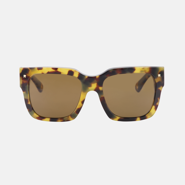 Tokyo Tortoise